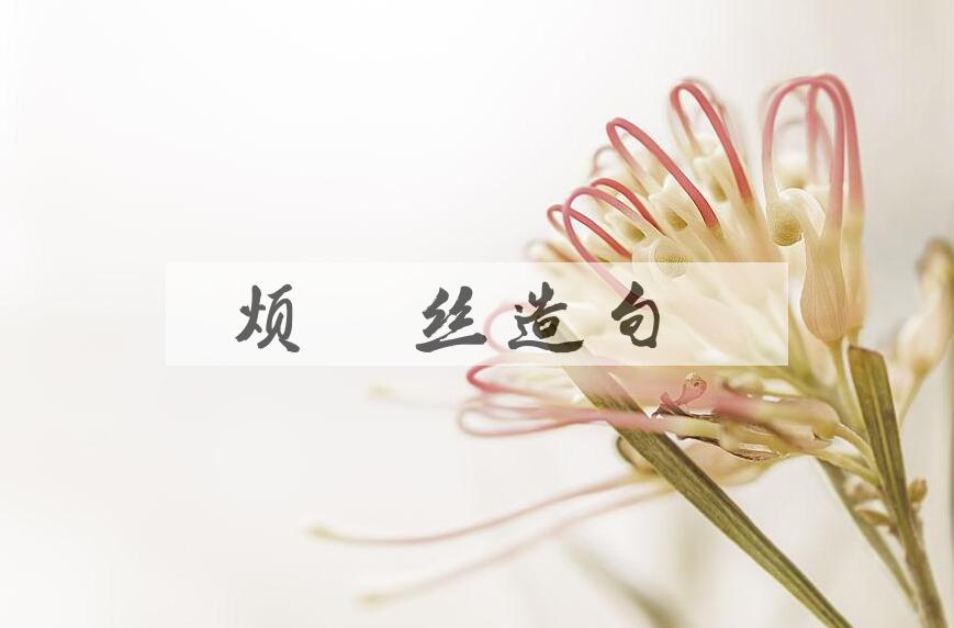 用烦恼丝造句