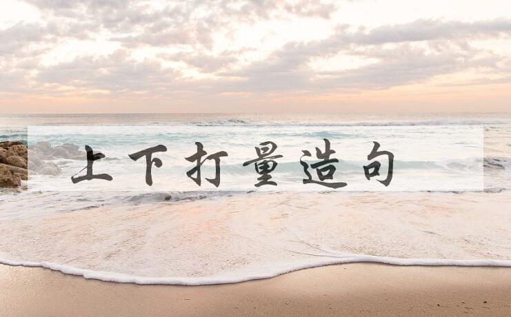 用上下打量造句