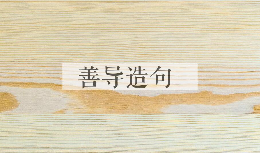 用善导造句