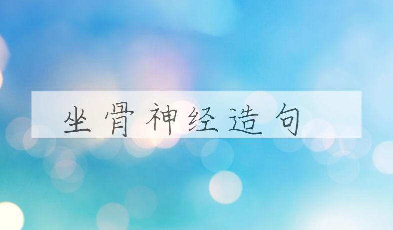 用坐骨神经造句