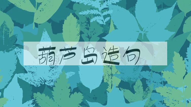 用葫芦岛造句