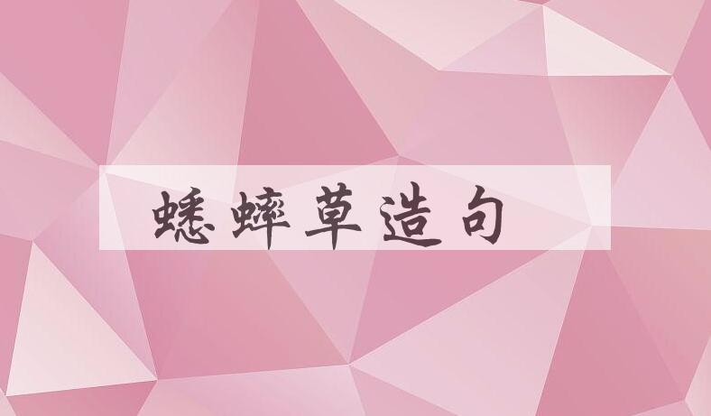用蟋蟀草造句