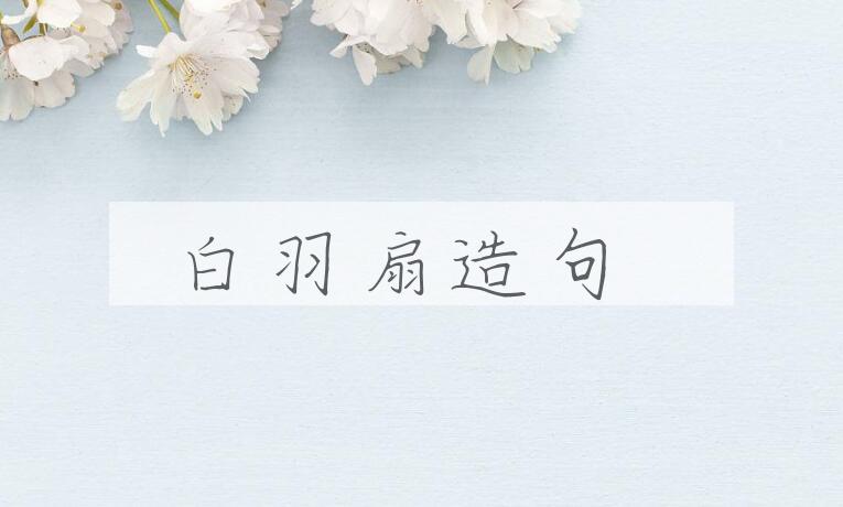 用白羽扇造句