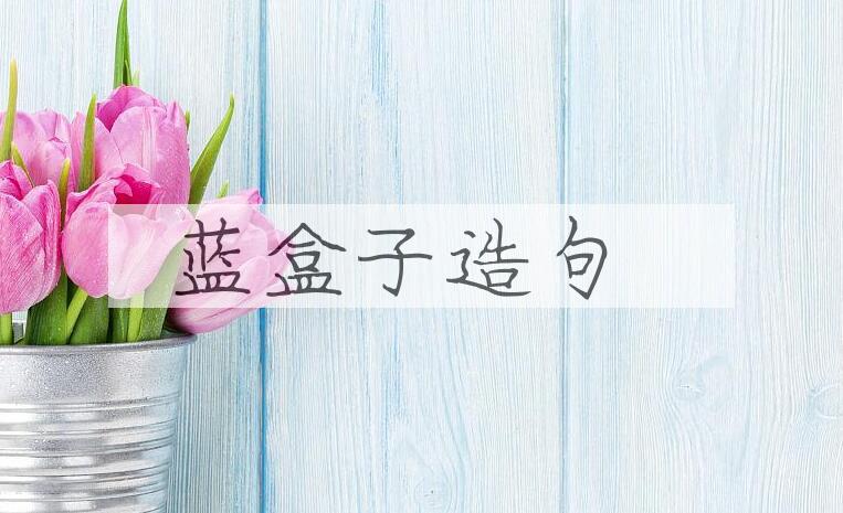 用蓝盒子造句