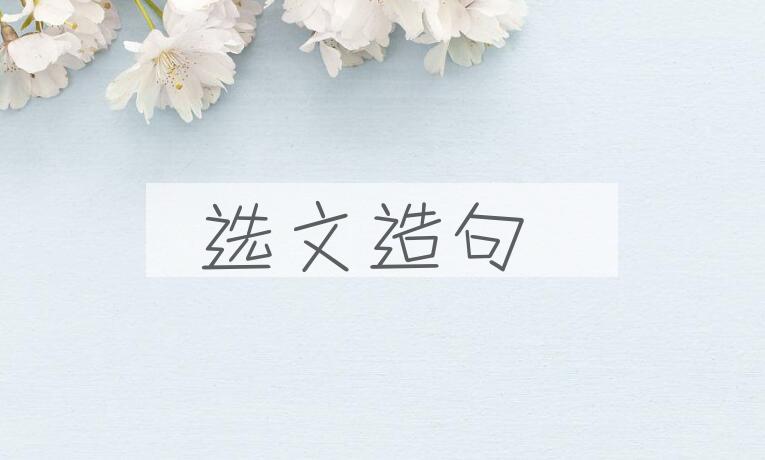 用选文造句