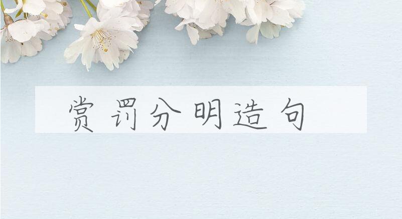 用赏罚分明造句