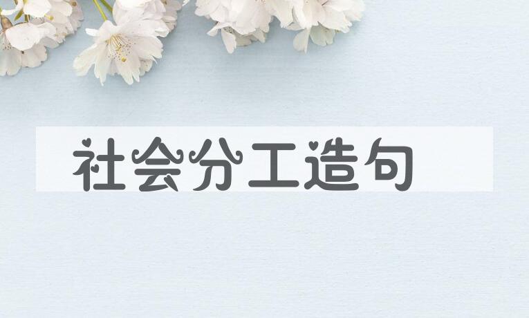 用社会分工造句