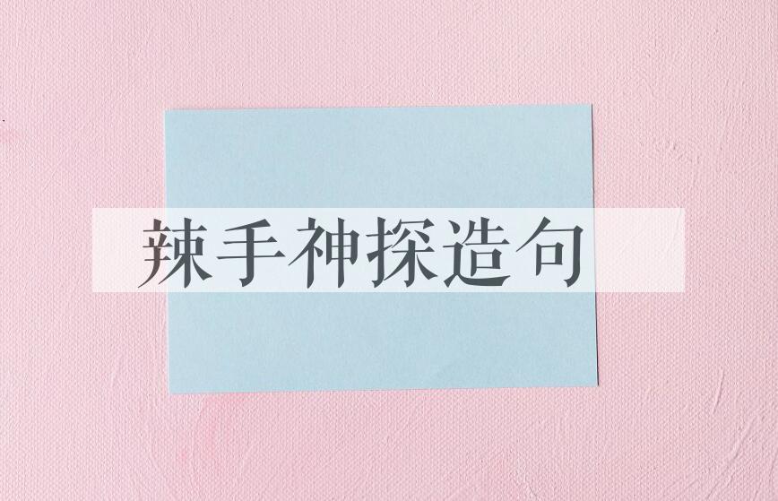 用辣手神探造句
