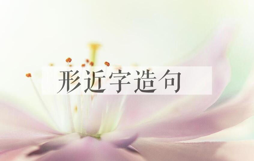 用形近字造句