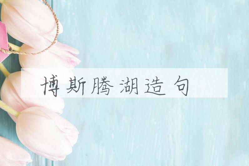用博斯腾湖造句