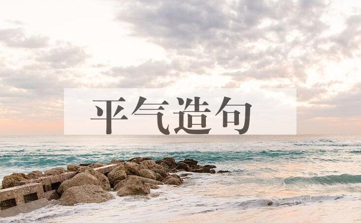 用平气造句