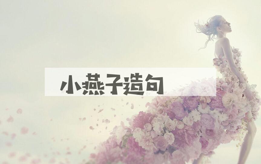用小燕子造句