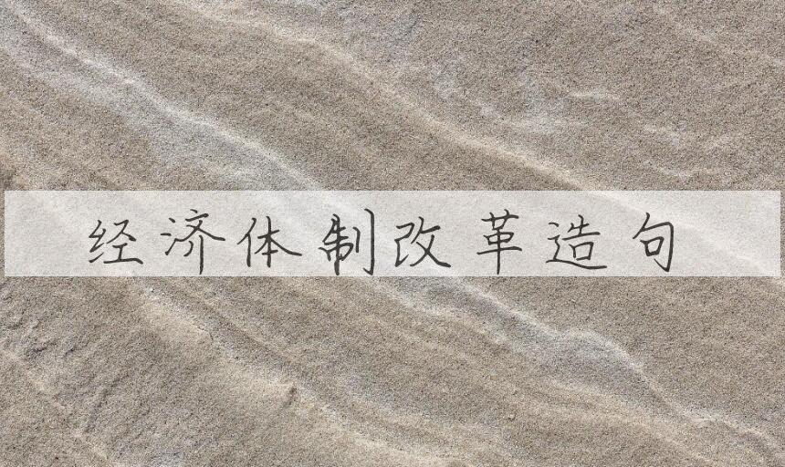 用经济体制改革造句