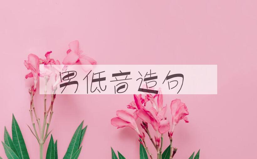 用男低音造句