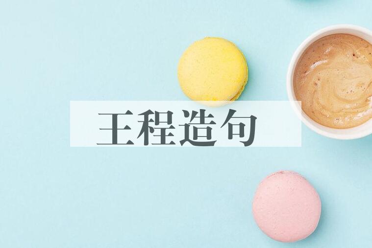 用王程造句