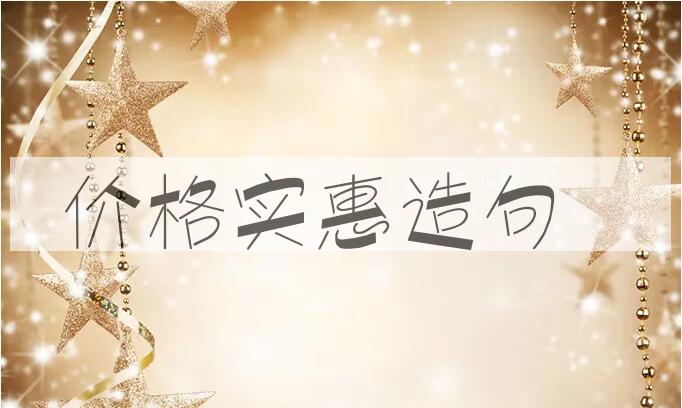 用价格实惠造句