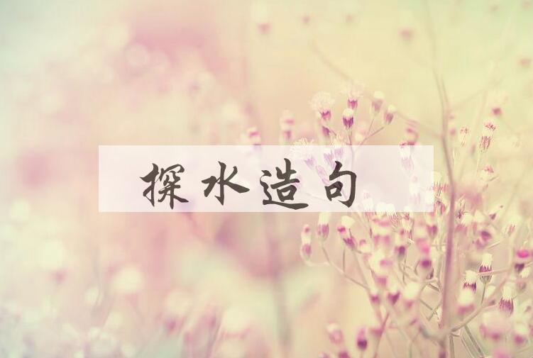 用探水造句