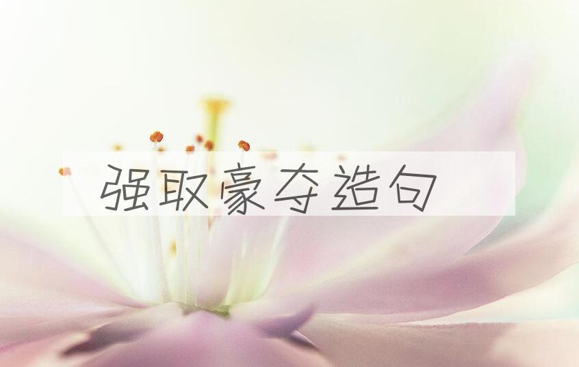 用强取豪夺造句