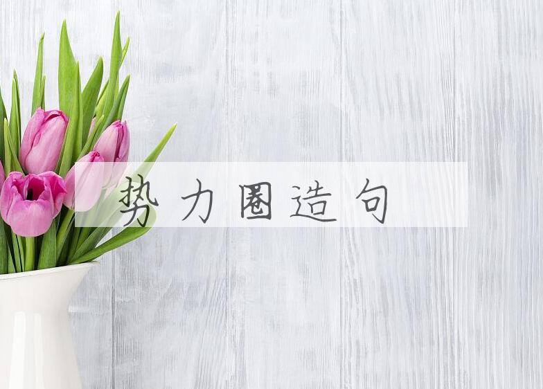 用势力圈造句