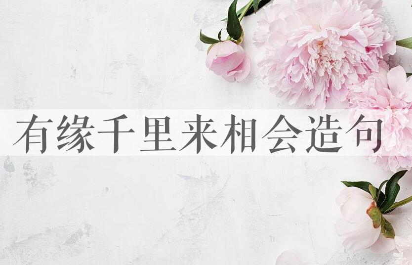 用有缘千里来相会造句