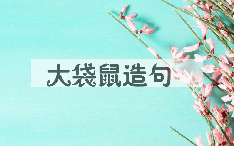 用大袋鼠造句