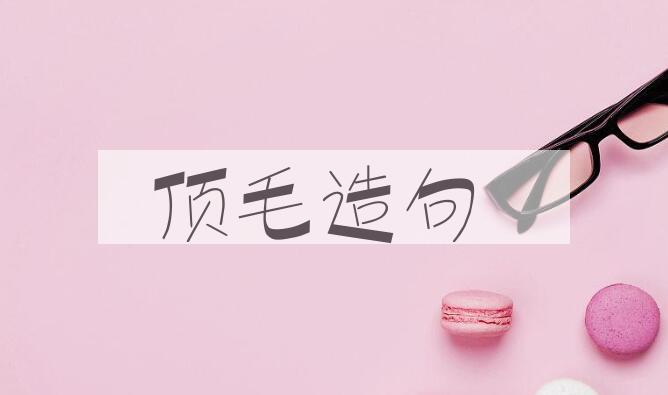 用顶毛造句