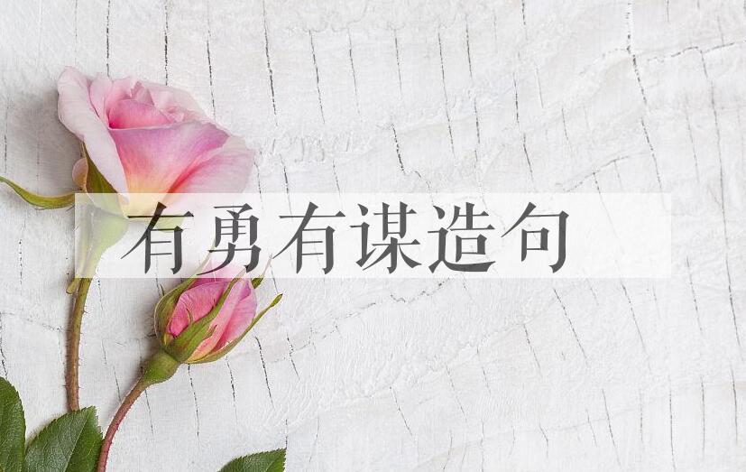 用有勇有谋造句