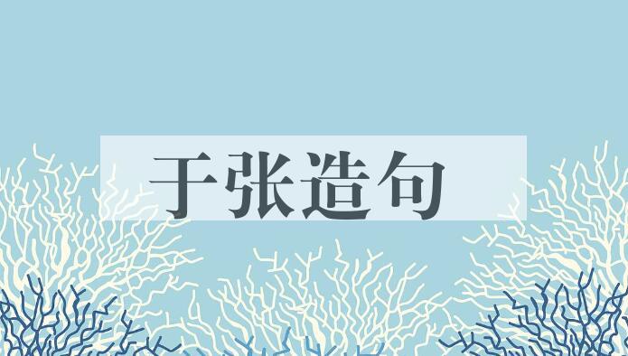 用于张造句