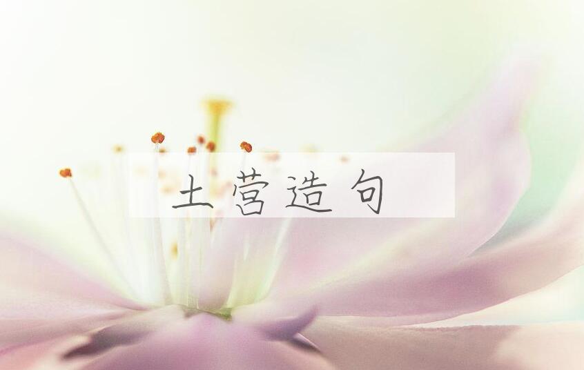 用土营造句