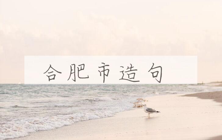 用合肥市造句