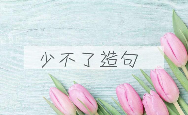 用少不了造句