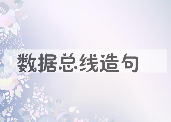 用数据总线造句