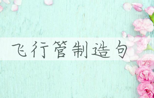用飞行管制造句