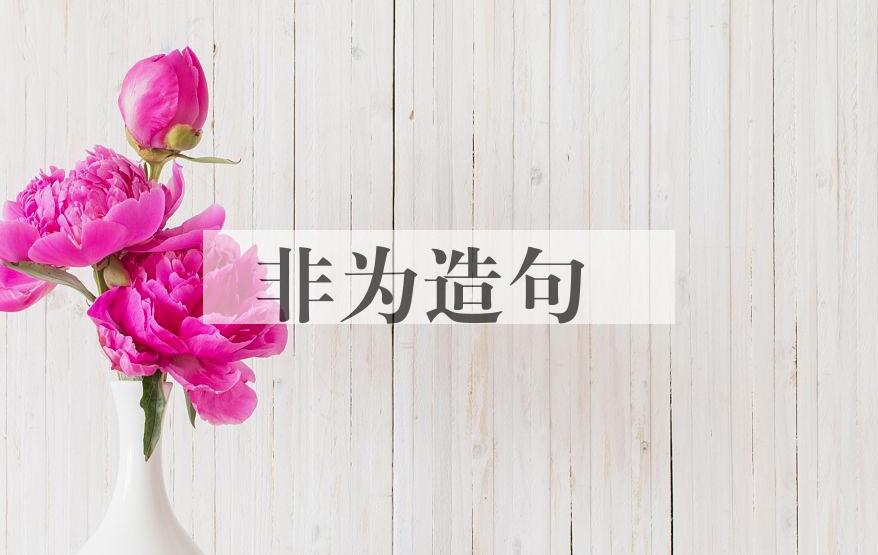 用非为造句