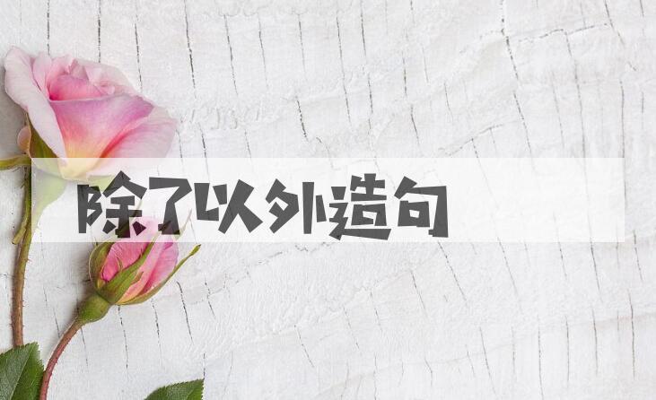 用除了 以外造句
