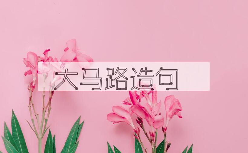 用大马路造句