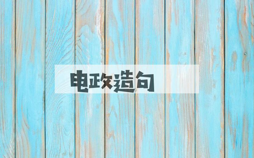 用电政造句