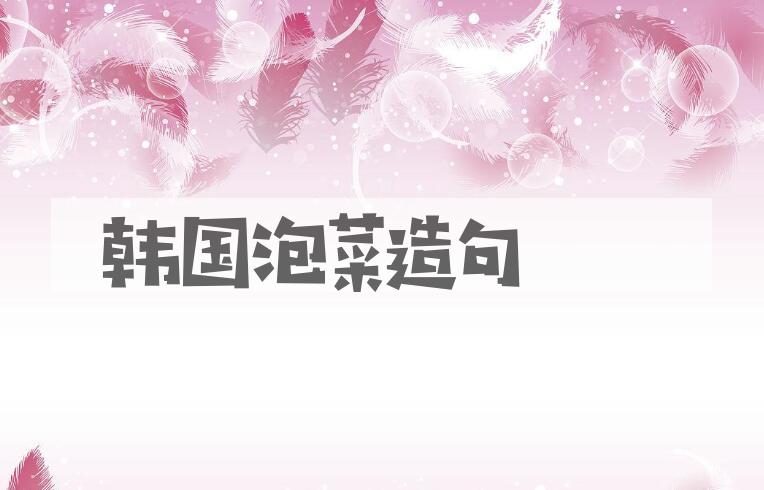 用韩国泡菜造句