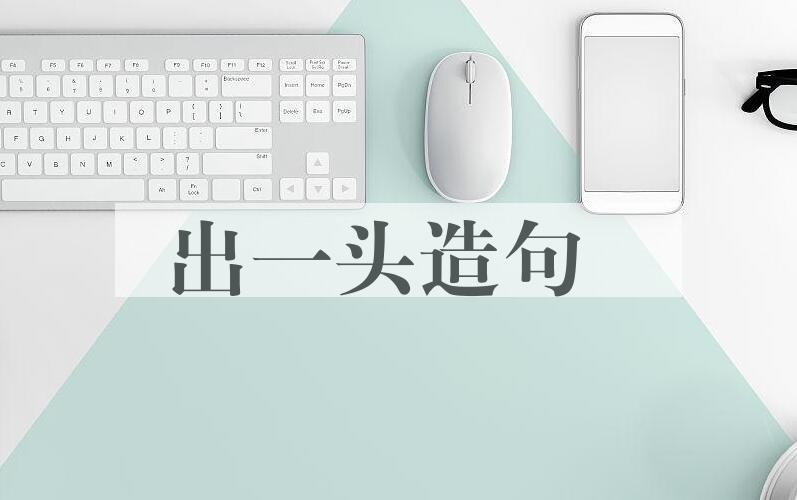 用出一头造句