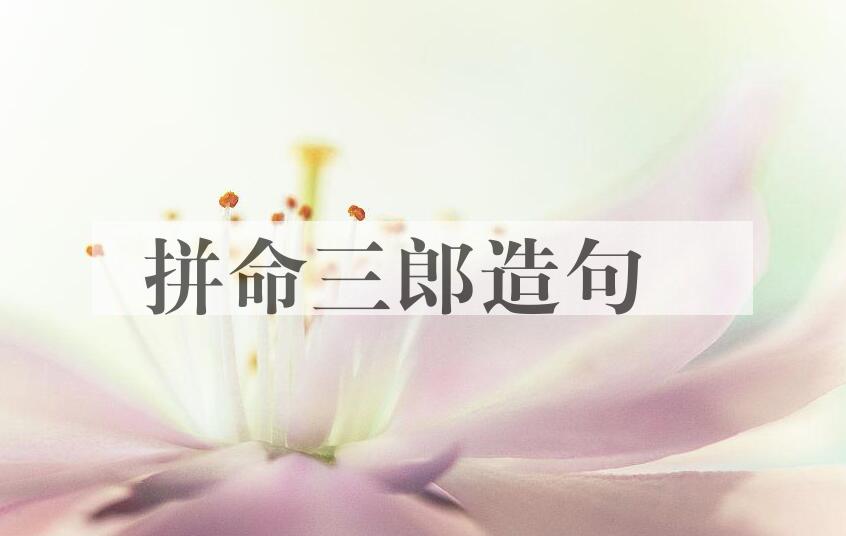 用拼命三郎造句