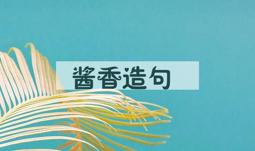 用酱香造句