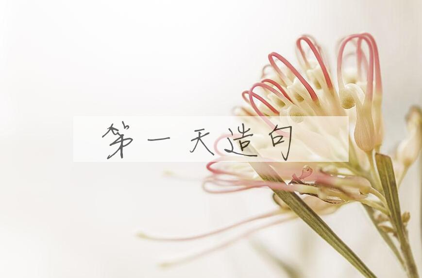 用第一天造句