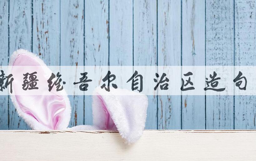 用新疆维吾尔自治区造句