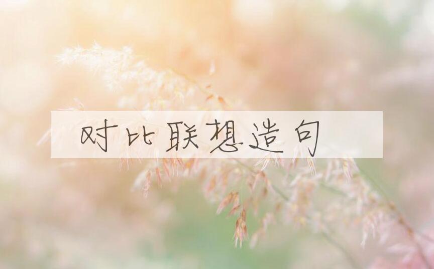 用对比联想造句