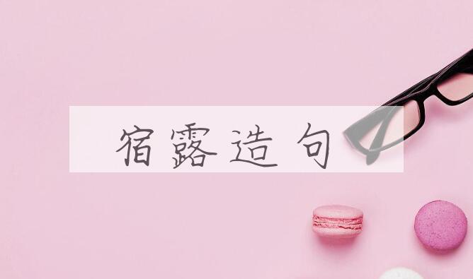 用宿露造句