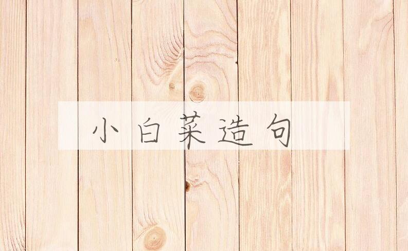 用小白菜造句