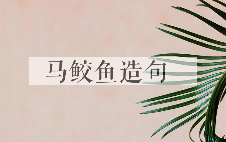 用马鲛鱼造句