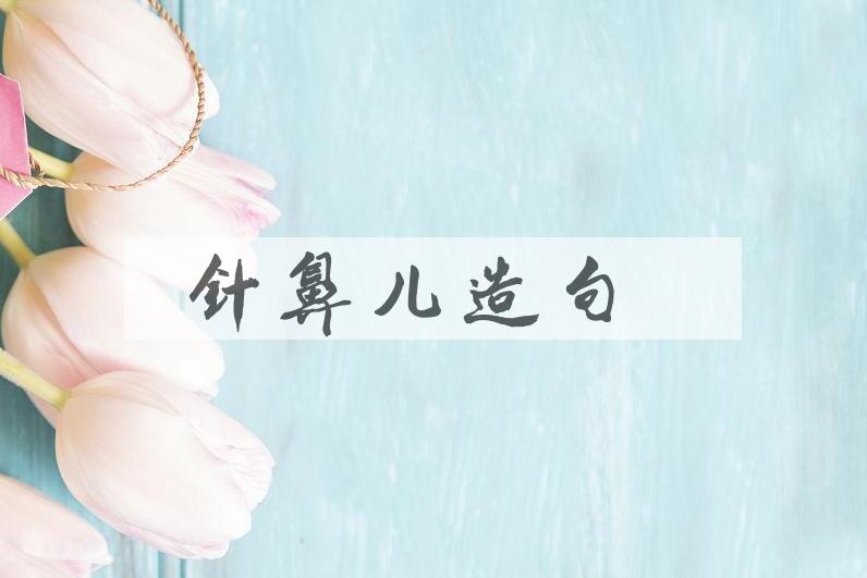 用针鼻儿造句