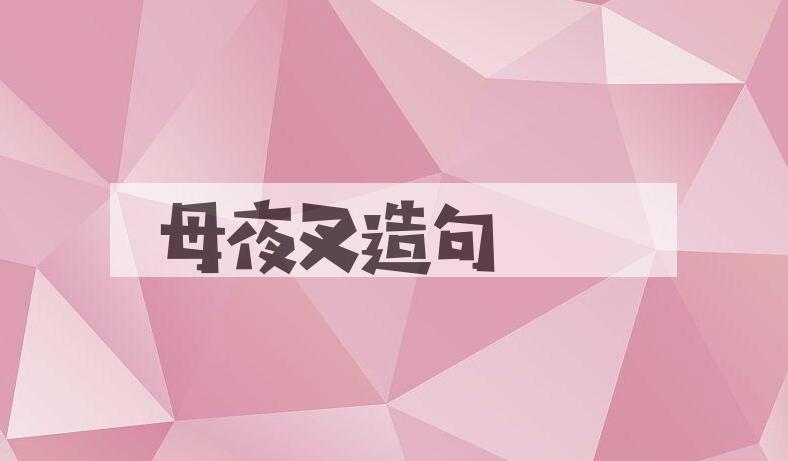 用母夜叉造句