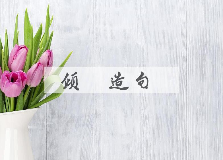用倾囊造句